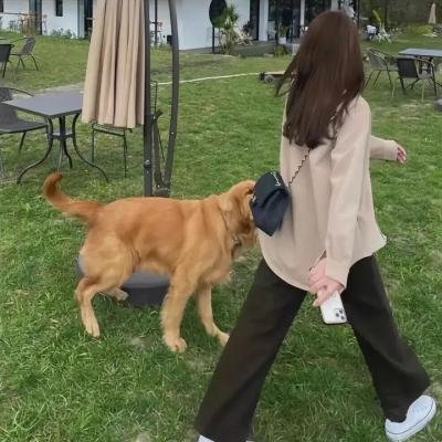 真正的正义6